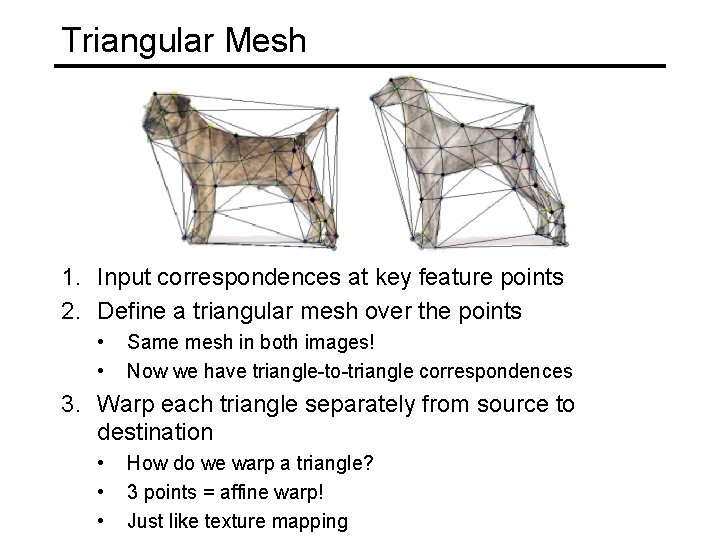 Triangular Mesh 1. Input correspondences at key feature points 2. Define a triangular mesh