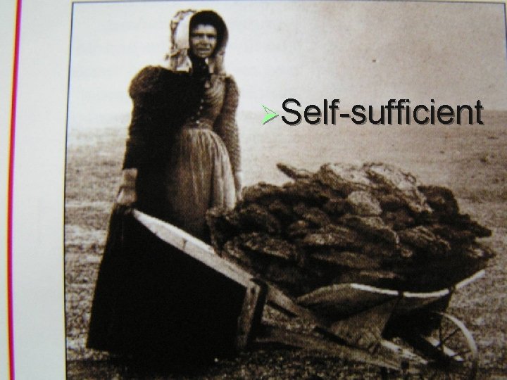 ØSelf-sufficient ØSelf-sufficient