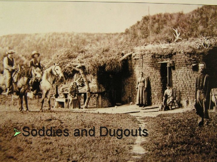 ØSoddies and Dugouts ØSoddies and Dugouts