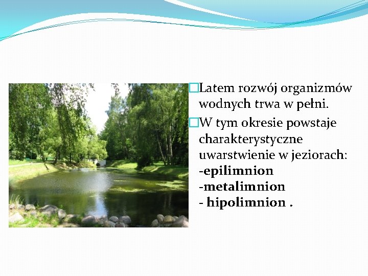 �Latem rozwój organizmów wodnych trwa w pełni. �W tym okresie powstaje charakterystyczne uwarstwienie w