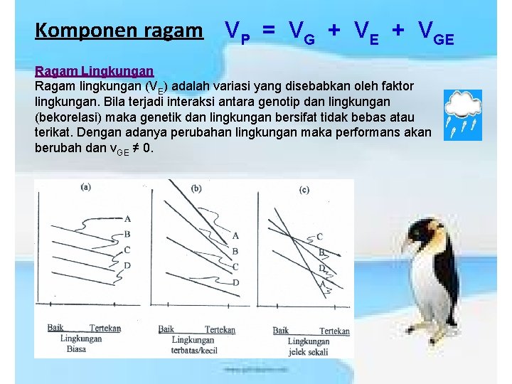 Komponen ragam VP = VG + VE + VGE Ragam Lingkungan Ragam lingkungan (VE)