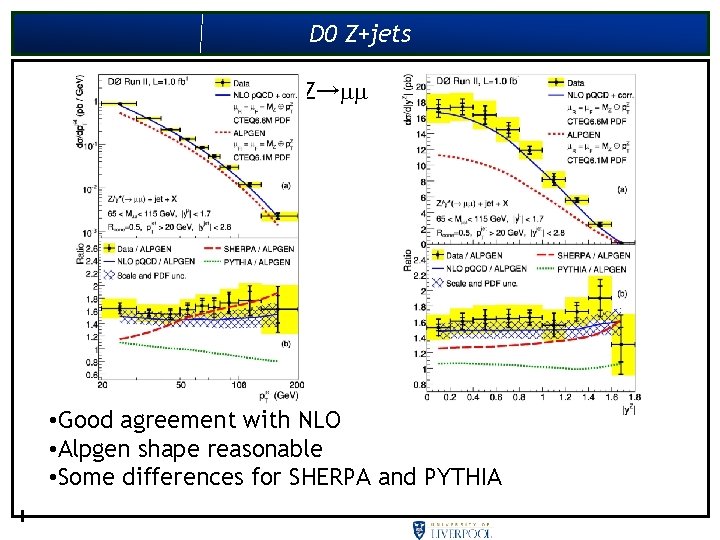 D 0 Z+jets Z→ • Good agreement with NLO • Alpgen shape reasonable •