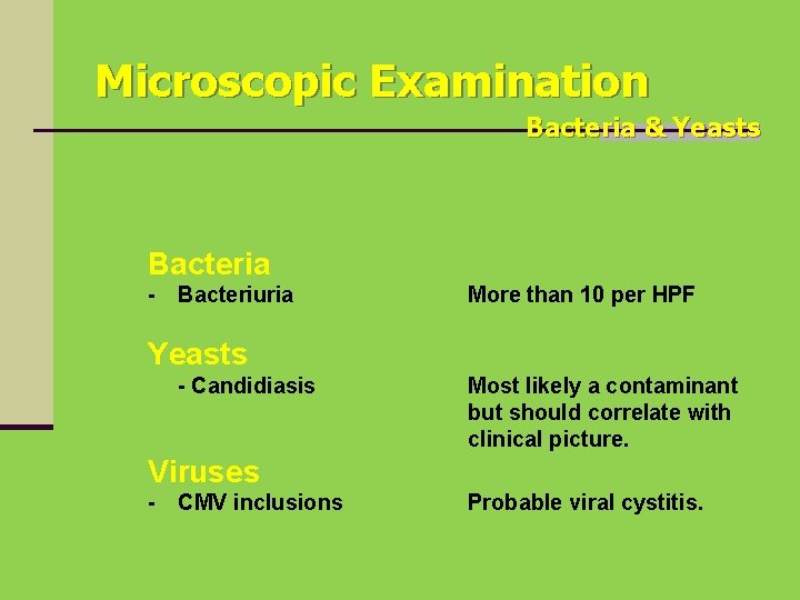 Microscopic Examination Bacteria & Yeasts Bacteria - Bacteriuria More than 10 per HPF Yeasts