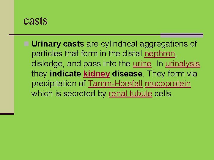 casts n Urinary casts are cylindrical aggregations of particles that form in the distal