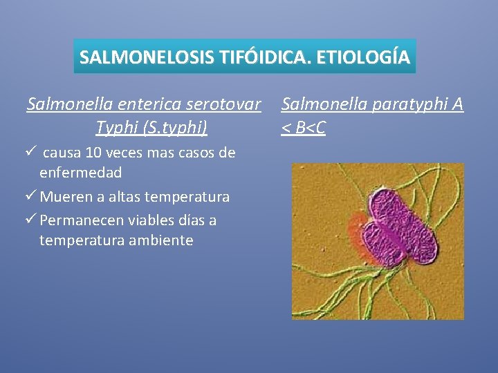 SALMONELOSIS TIFÓIDICA. ETIOLOGÍA Salmonella enterica serotovar Typhi (S. typhi) ü causa 10 veces mas