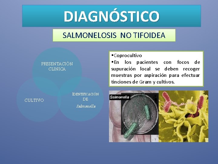 DIAGNÓSTICO SALMONELOSIS NO TIFOIDEA §Coprocultivo §En los pacientes con focos de supuración local se