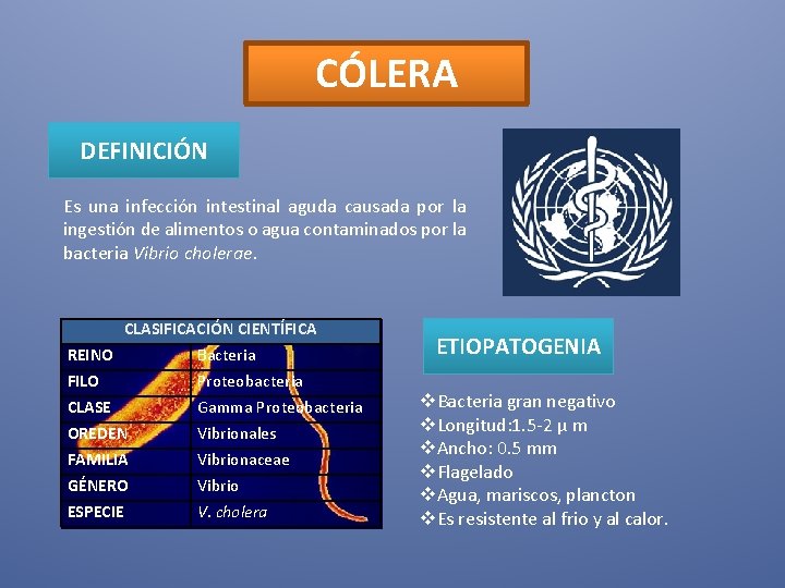 CÓLERA DEFINICIÓN Es una infección intestinal aguda causada por la ingestión de alimentos o