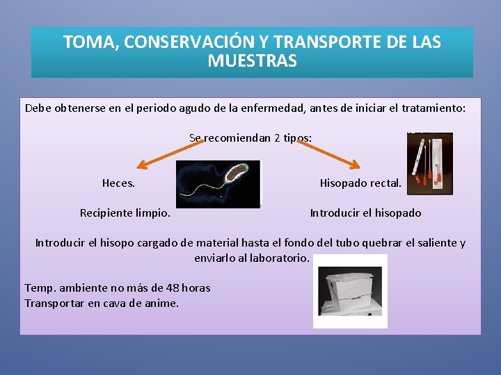 TOMA, CONSERVACIÓN Y TRANSPORTE DE LAS MUESTRAS Debe obtenerse en el periodo agudo de