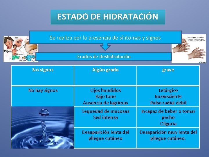 ESTADO DE HIDRATACIÓN Se realiza por la presencia de síntomas y signos Grados de