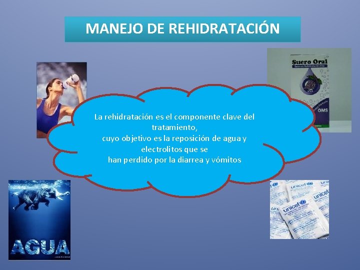 MANEJO DE REHIDRATACIÓN La rehidratación es el componente clave del tratamiento, cuyo objetivo es