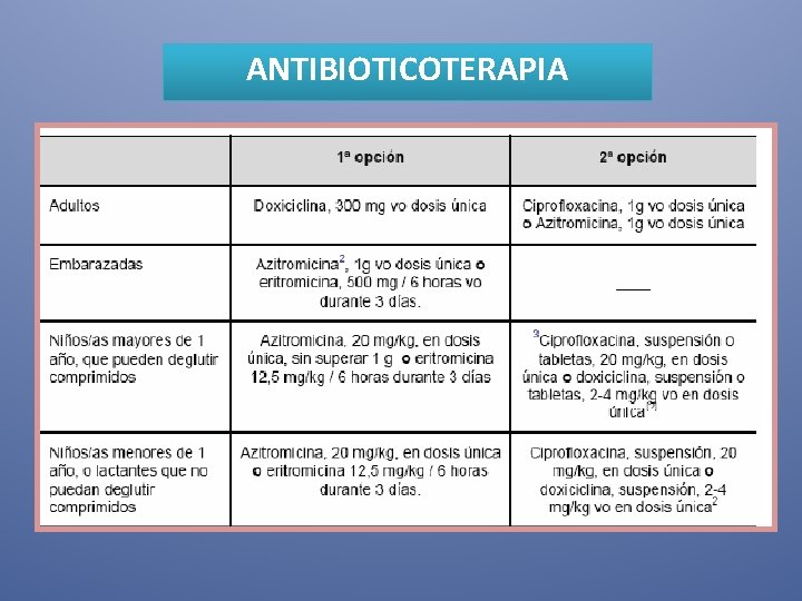 ANTIBIOTICOTERAPIA 