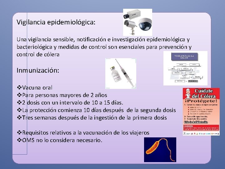 Vigilancia epidemiológica: Una vigilancia sensible, notificación e investigación epidemiológica y bacteriológica y medidas de