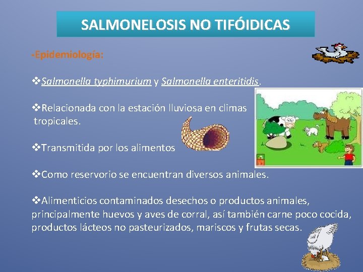 SALMONELOSIS NO TIFÓIDICAS -Epidemiología: v. Salmonella typhimurium y Salmonella enteritidis. v. Relacionada con la