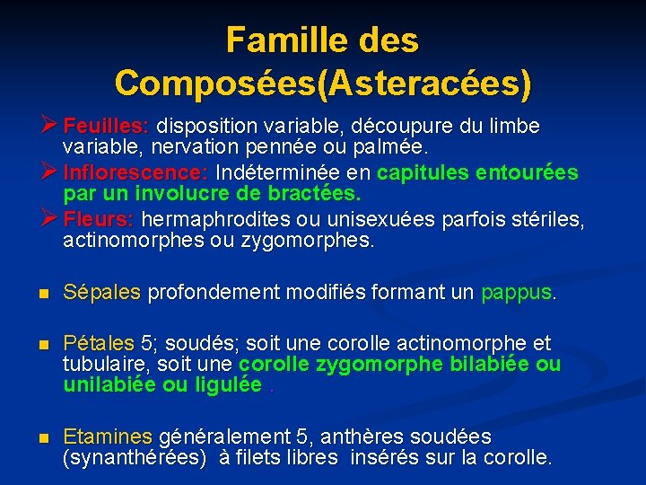 Famille des Composées(Asteracées) Ø Feuilles: disposition variable, découpure du limbe variable, nervation pennée ou