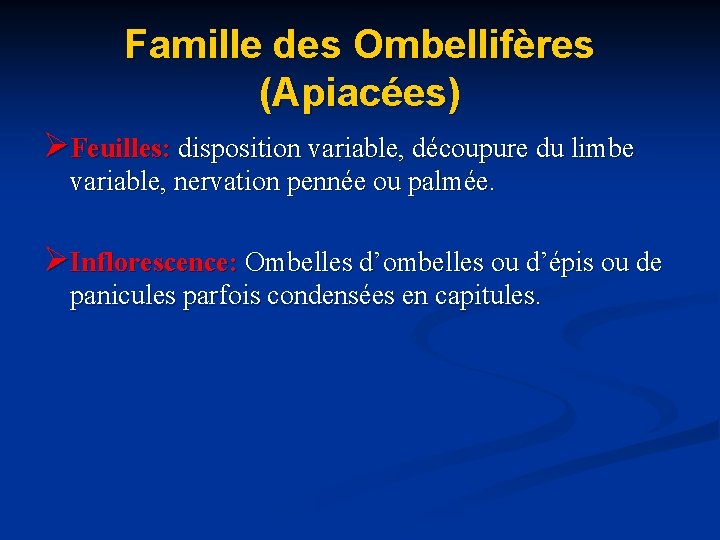 Famille des Ombellifères (Apiacées) ØFeuilles: disposition variable, découpure du limbe variable, nervation pennée ou