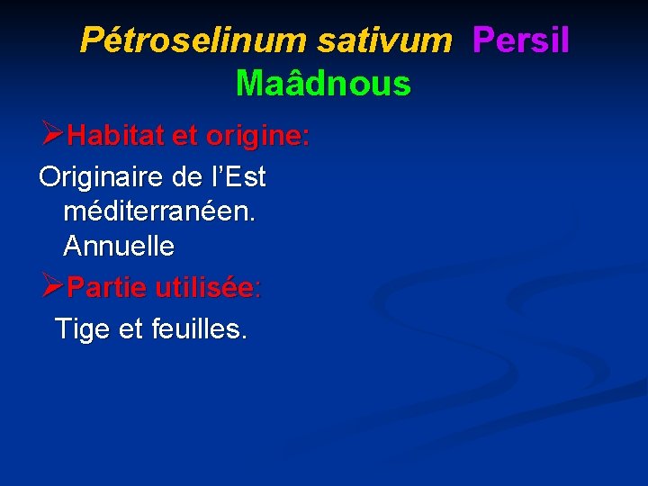 Pétroselinum sativum Persil Maâdnous ØHabitat et origine: Originaire de l’Est méditerranéen. Annuelle ØPartie utilisée: