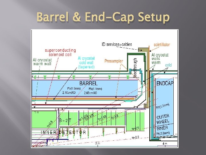 Barrel & End-Cap Setup 