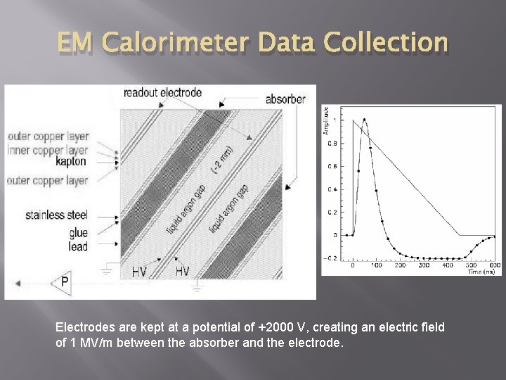 EM Calorimeter Data Collection Electrodes are kept at a potential of +2000 V, creating