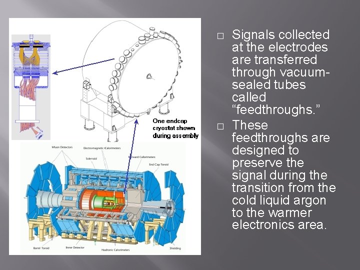 � � Signals collected at the electrodes are transferred through vacuumsealed tubes called “feedthroughs.