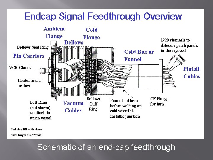 Schematic of an end-cap feedthrough 