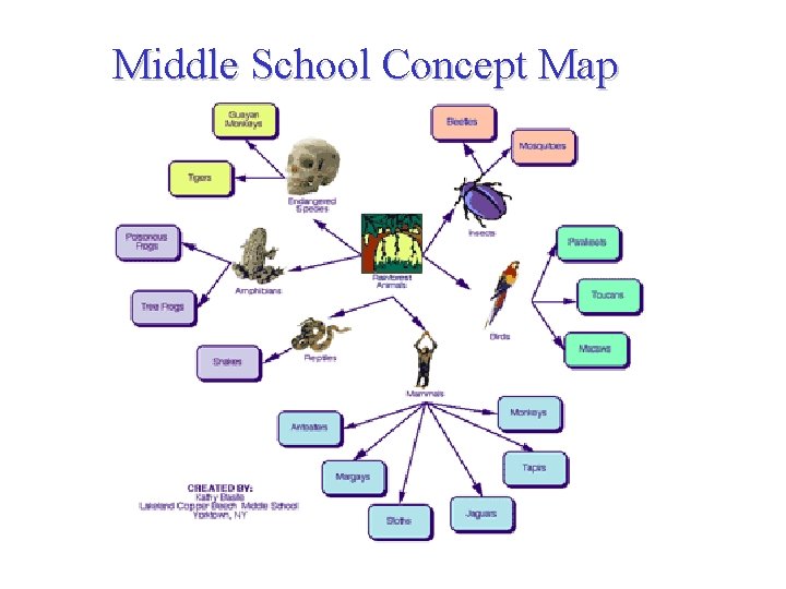Middle School Concept Map 