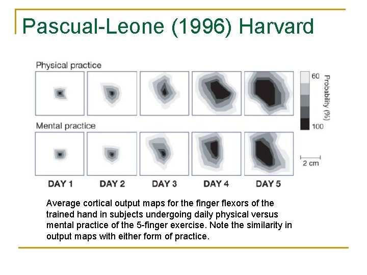 Pascual-Leone (1996) Harvard Average cortical output maps for the finger flexors of the trained