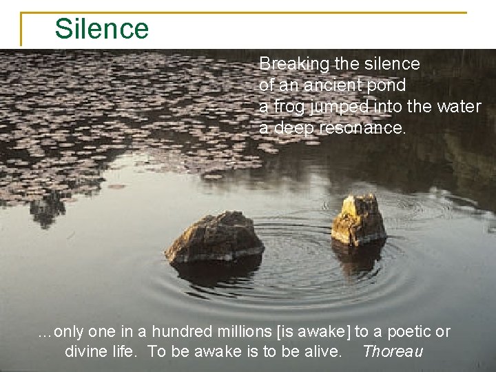 Silence Breaking the silence of an ancient pond a frog jumped into the water