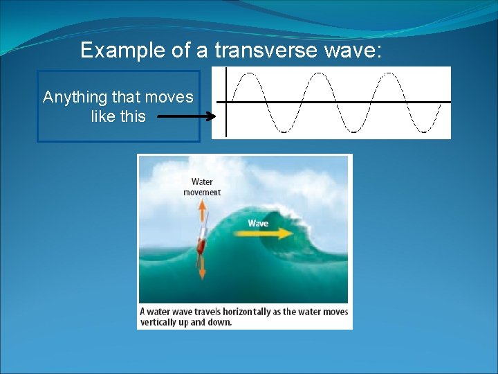 Example of a transverse wave: Anything that moves like this 