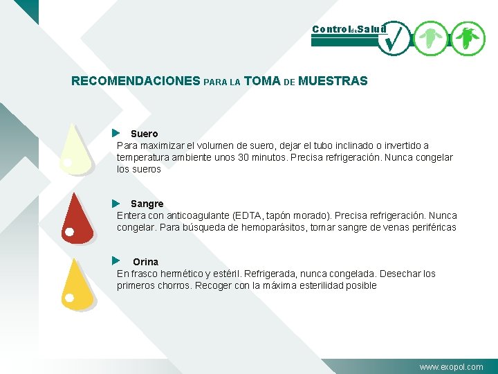 Controlde. Salud RECOMENDACIONES PARA LA TOMA DE MUESTRAS Suero Para maximizar el volumen de