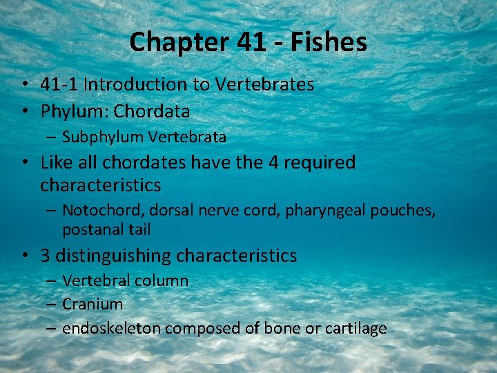 Chapter 41 - Fishes • 41 -1 Introduction to Vertebrates • Phylum: Chordata –