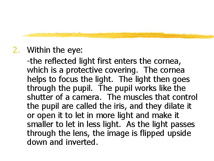 2. Within the eye: -the reflected light first enters the cornea, which is a