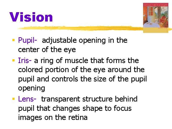 Vision § Pupil- adjustable opening in the center of the eye § Iris- a