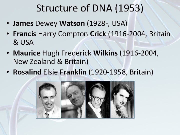 Structure of DNA (1953) • James Dewey Watson (1928 -, USA) • Francis Harry