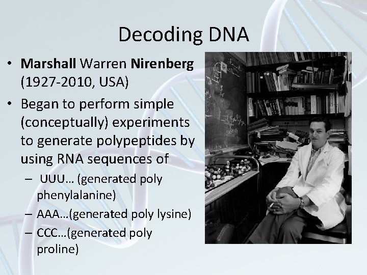 Decoding DNA • Marshall Warren Nirenberg (1927 -2010, USA) • Began to perform simple