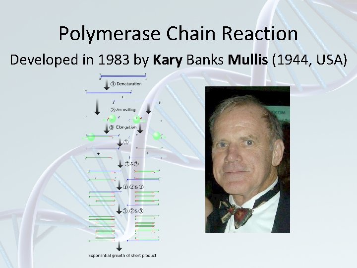 Polymerase Chain Reaction Developed in 1983 by Kary Banks Mullis (1944, USA) 