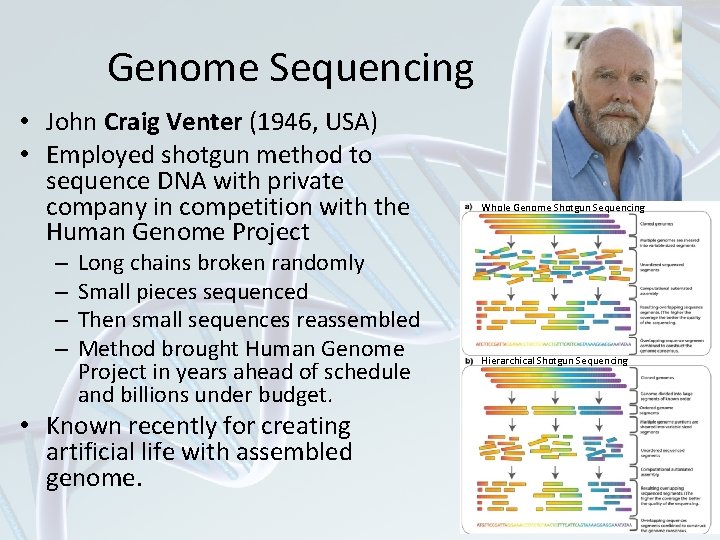 Genome Sequencing • John Craig Venter (1946, USA) • Employed shotgun method to sequence