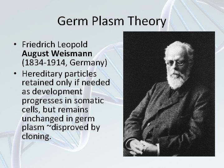 Germ Plasm Theory • Friedrich Leopold August Weismann (1834 -1914, Germany) • Hereditary particles