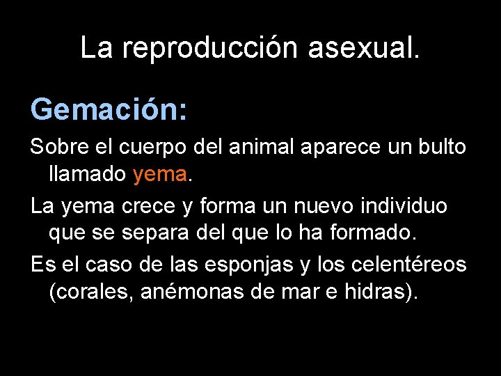 La reproducción asexual. Gemación: Sobre el cuerpo del animal aparece un bulto llamado yema.