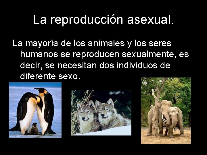 La reproducción asexual. La mayoría de los animales y los seres humanos se reproducen