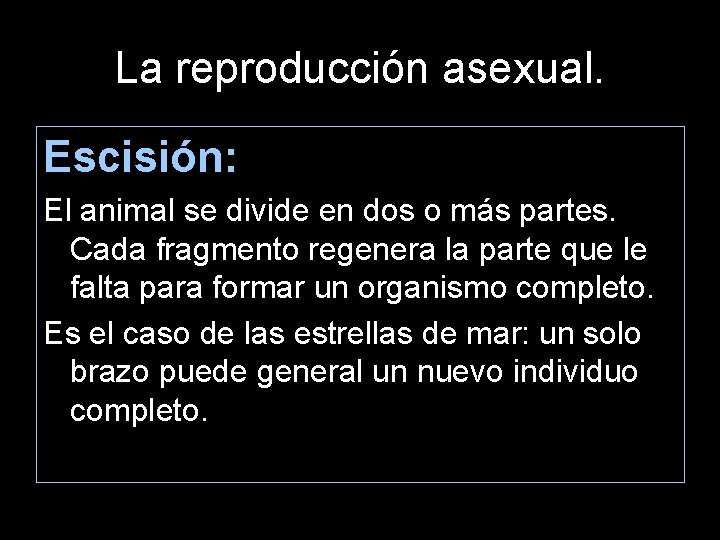 La reproducción asexual. Escisión: El animal se divide en dos o más partes. Cada