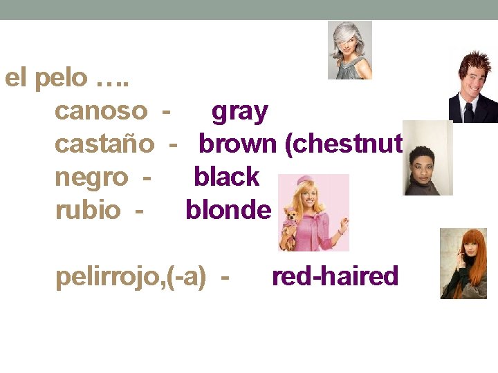 el pelo …. canoso - gray castaño - brown (chestnut) negro - black rubio