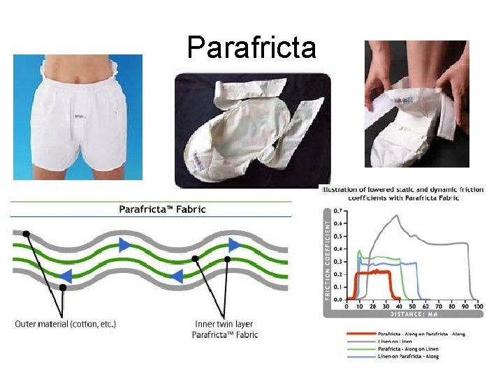 Parafricta 