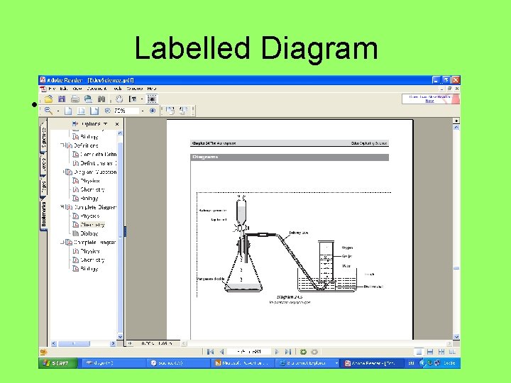 Labelled Diagram • 