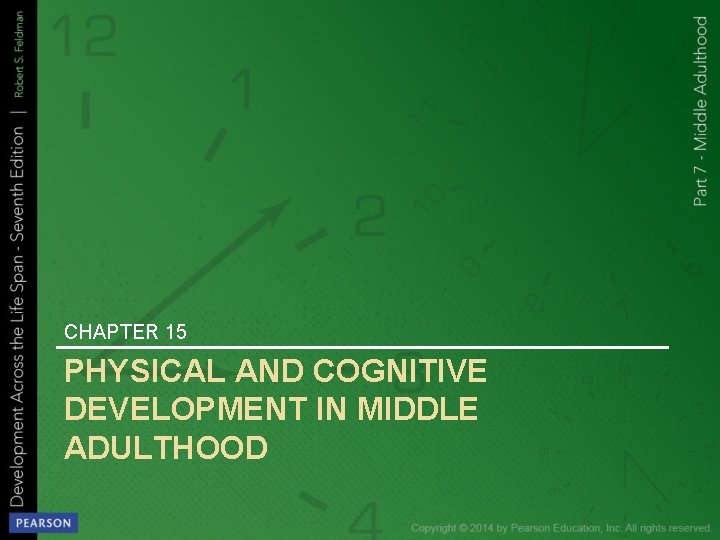 CHAPTER 15 PHYSICAL AND COGNITIVE DEVELOPMENT IN MIDDLE ADULTHOOD 