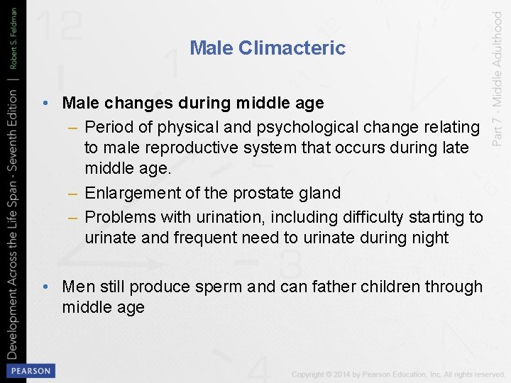 Male Climacteric • Male changes during middle age – Period of physical and psychological