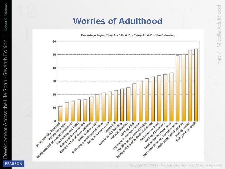 Worries of Adulthood 