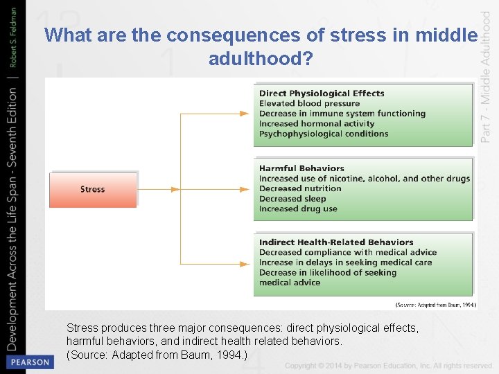 What are the consequences of stress in middle adulthood? Stress produces three major consequences: