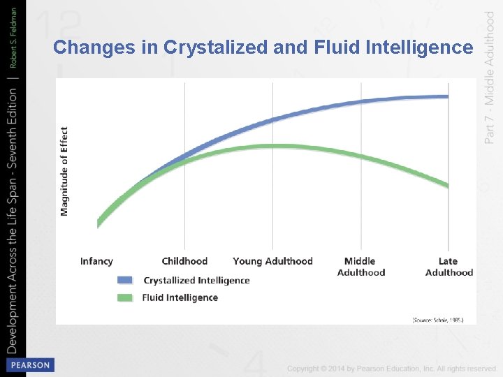 Changes in Crystalized and Fluid Intelligence 