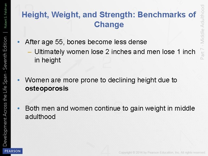 Height, Weight, and Strength: Benchmarks of Change • After age 55, bones become less