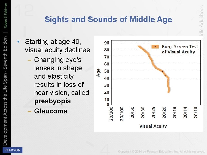 Sights and Sounds of Middle Age • Starting at age 40, visual acuity declines